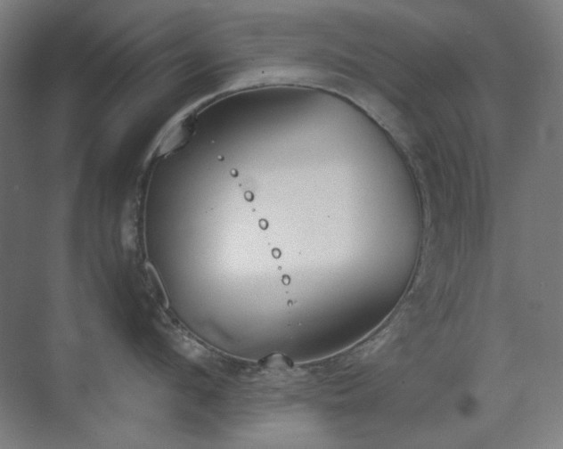 X0000070380912200606091122