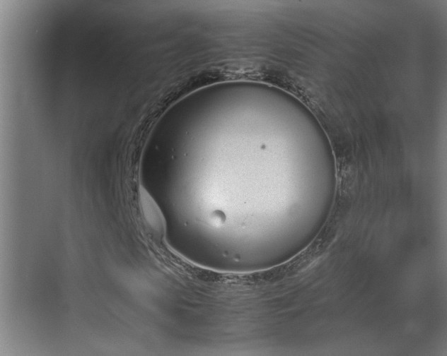 X0000070380913200606091121