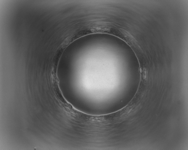 X0000070380915200606091121