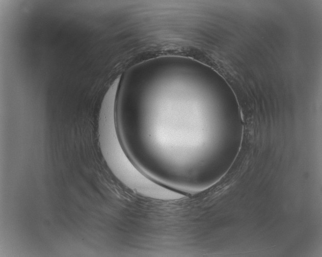 X0000070380916200606091121