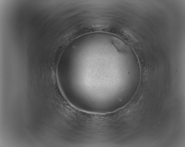 X0000070380917200606091121