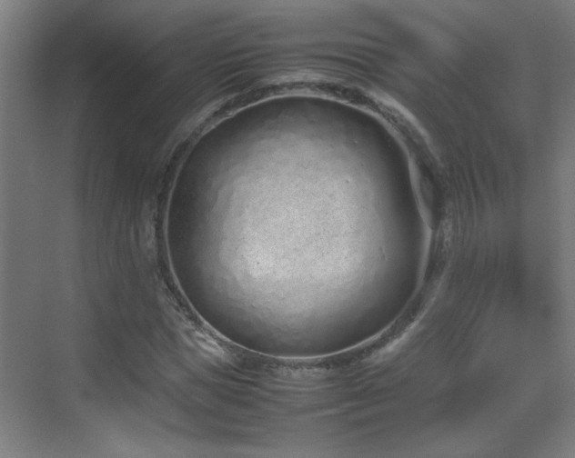 X0000070380921200606091121