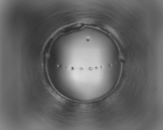 X0000070380923200606091121