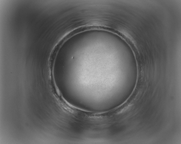 X0000070380925200606091121