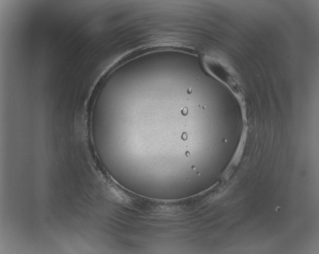 X0000070380933200606091121