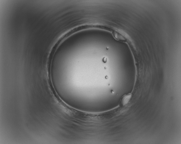 X0000070380935200606091121