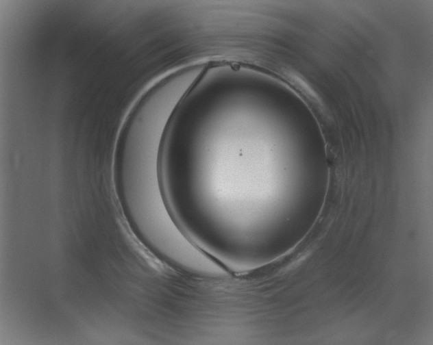 X0000070380940200606091122