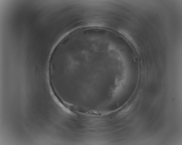 X0000070380941200606091122