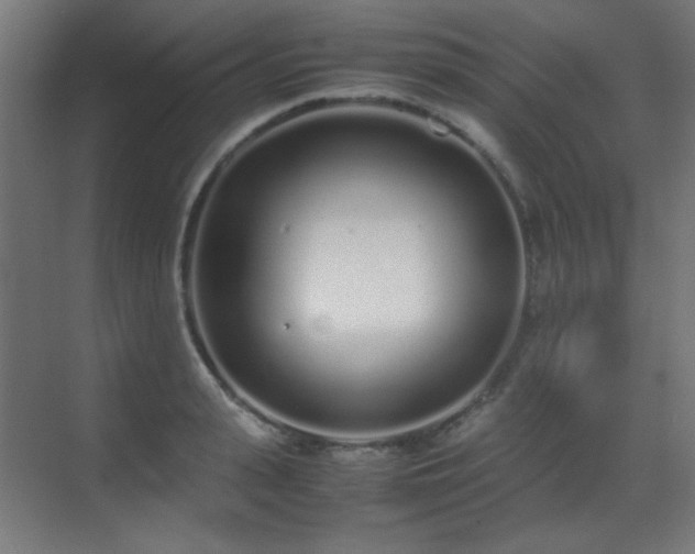 X0000070380943200606091122