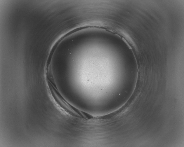 X0000070380944200606091122