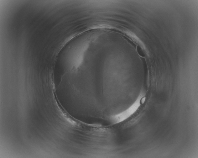 X0000070380945200606091122