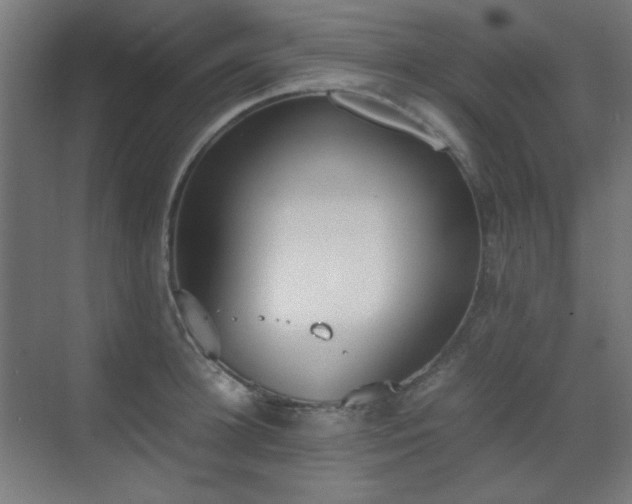 X0000070380948200606091122