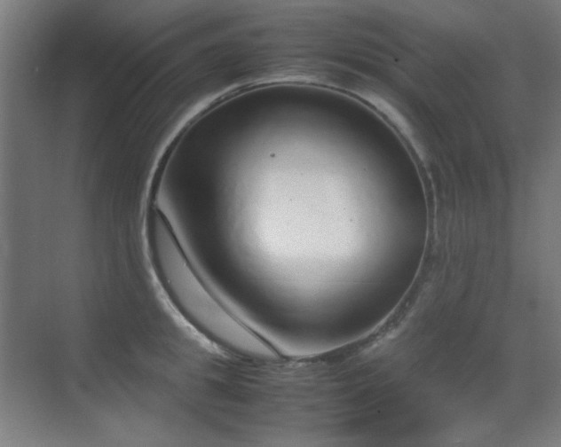 X0000070380949200606091122