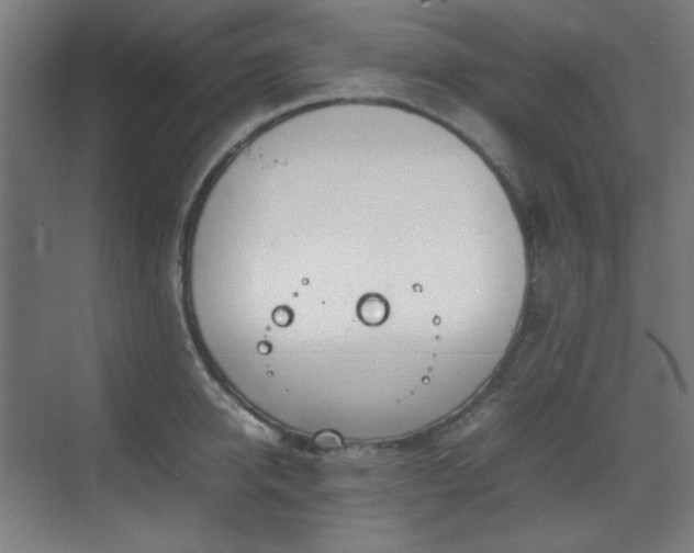 X0000070380950200606091122