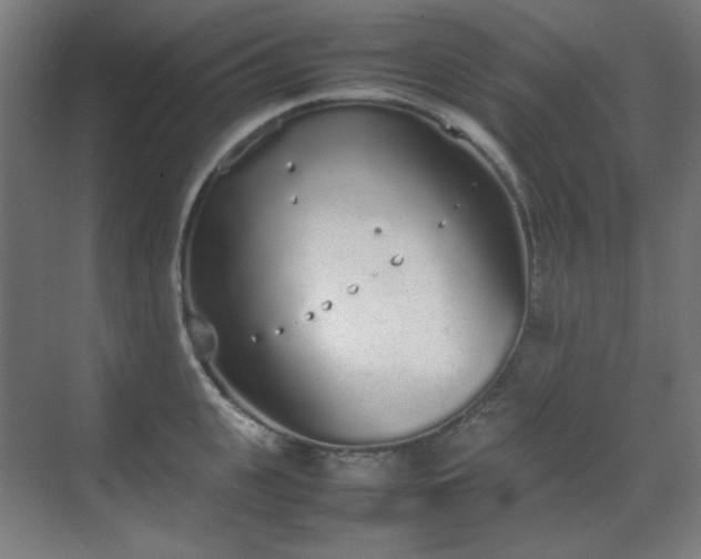 X0000070380951200606091122