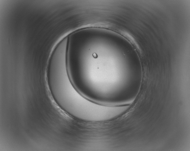 X0000070380952200606091122