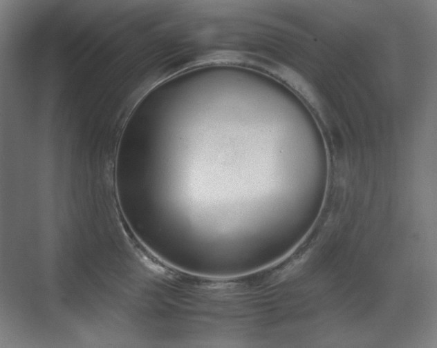 X0000070380953200606091122