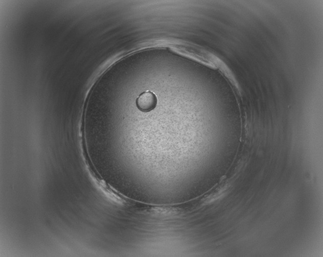 X0000070380954200606091122