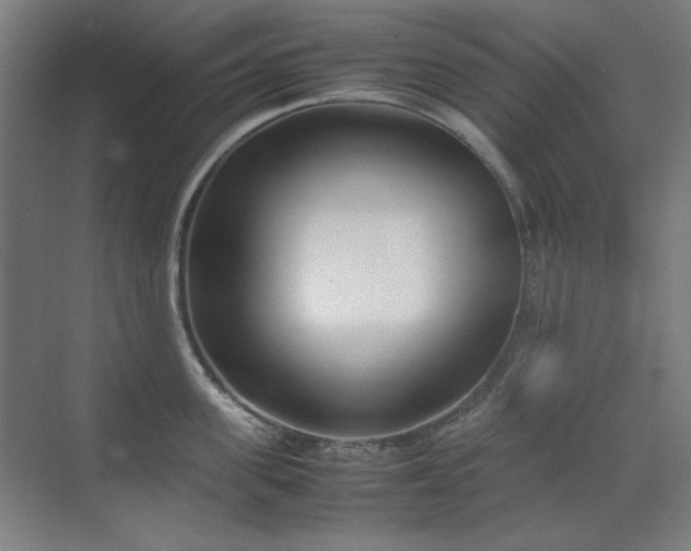 X0000070380955200606091122