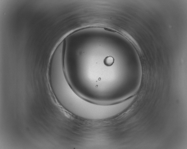 X0000070380956200606091122