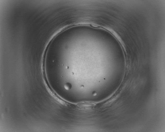 X0000070380957200606091122