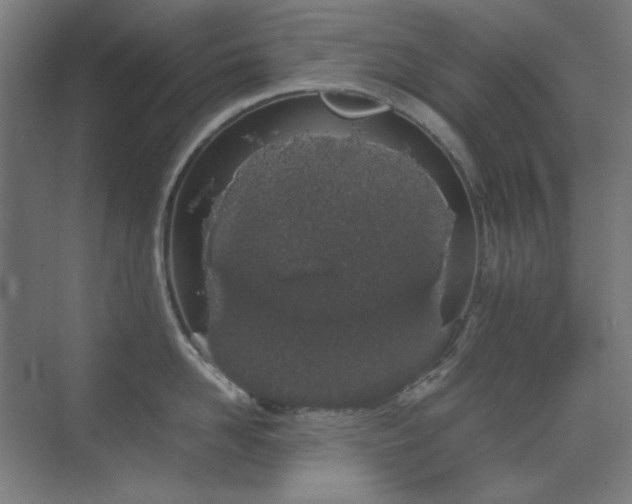 X0000070380958200606091122