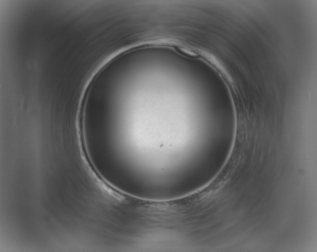 X0000070380959200606091122