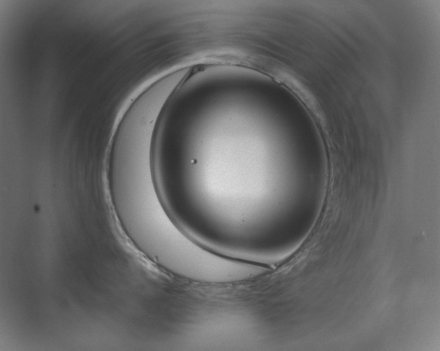 X0000070380960200606091122