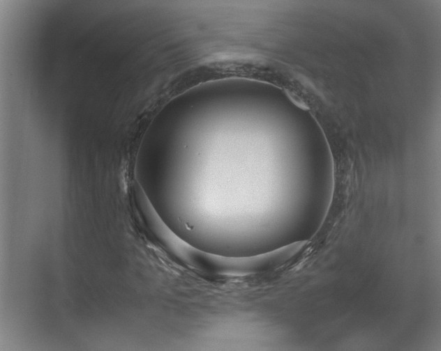 X0000070380965200606091121