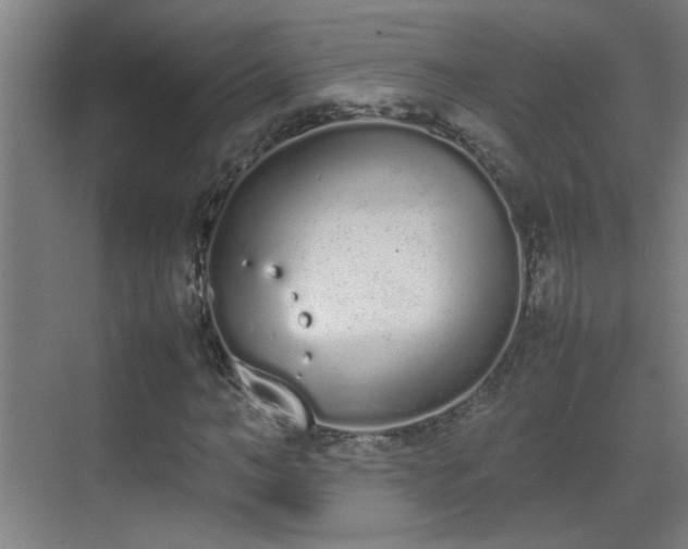 X0000070380966200606091121