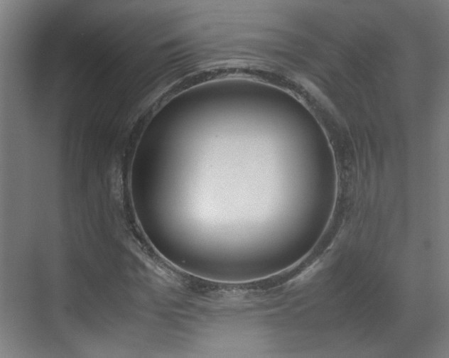 X0000070380969200606091121