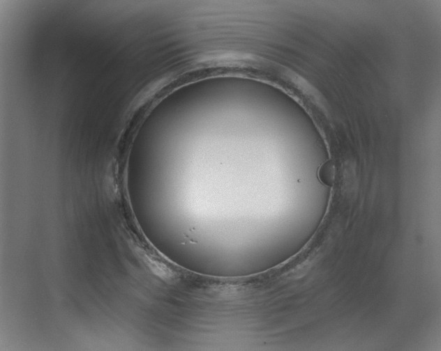 X0000070380970200606091121