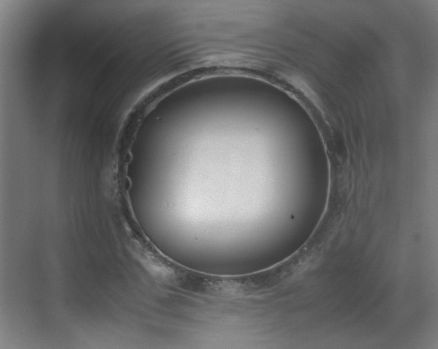 X0000070380971200606091121