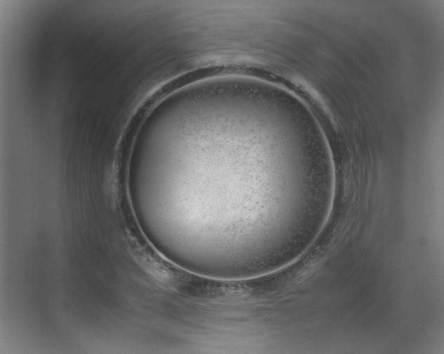 X0000070380975200606091121