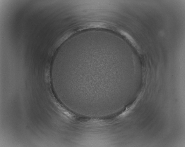 X0000070380977200606091121