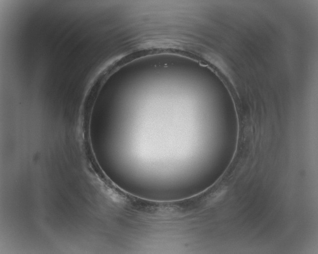 X0000070380979200606091121