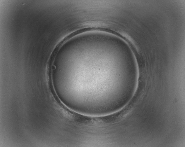 X0000070380983200606091121