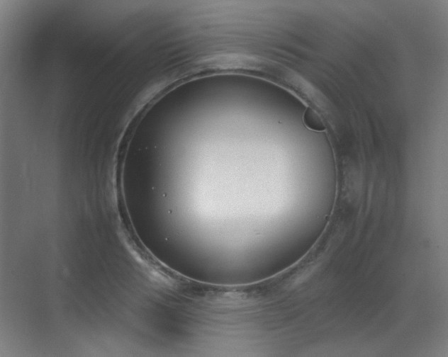 X0000070380986200606091121