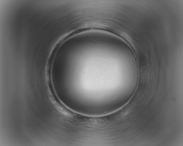 X0000070380987200606091121