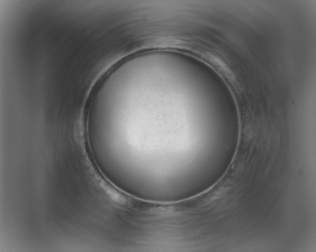 X0000070380990200606091121