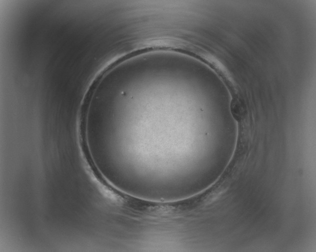 X0000070380991200606091121