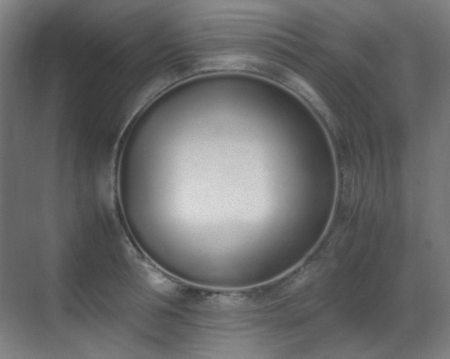 X0000070380994200606091120