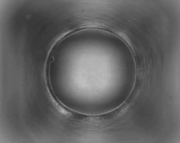 X0000070380995200606091120