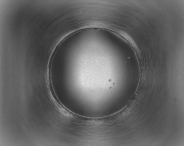 X0000070380996200606091120