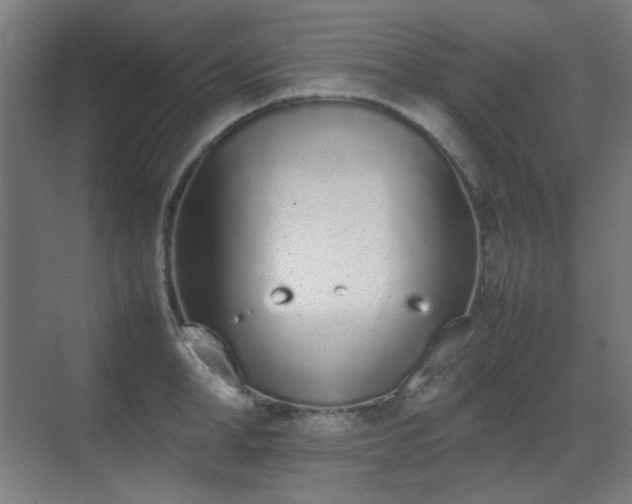 X0000070380998200606091120