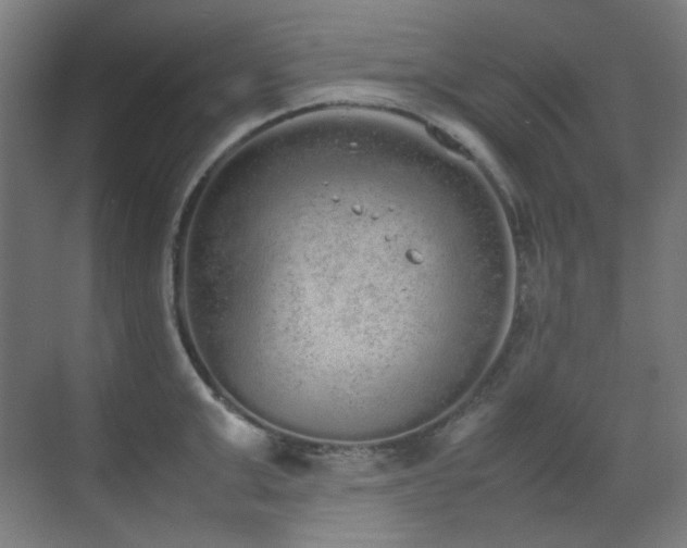 X0000070380999200606091120