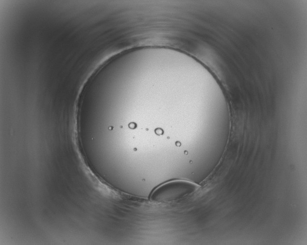 X0000070381000200606091120