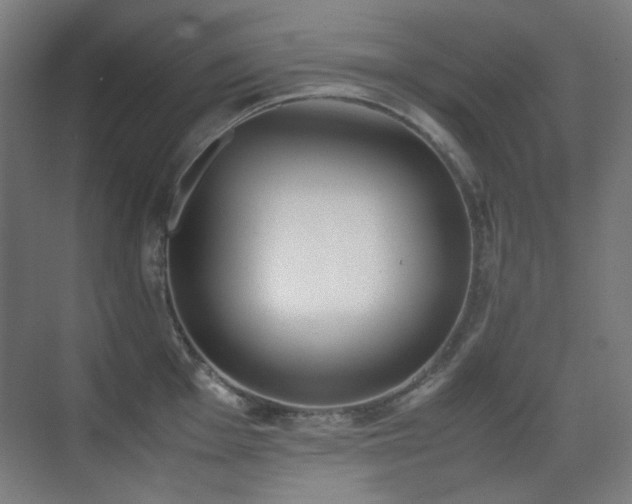 X0000070381001200606091120