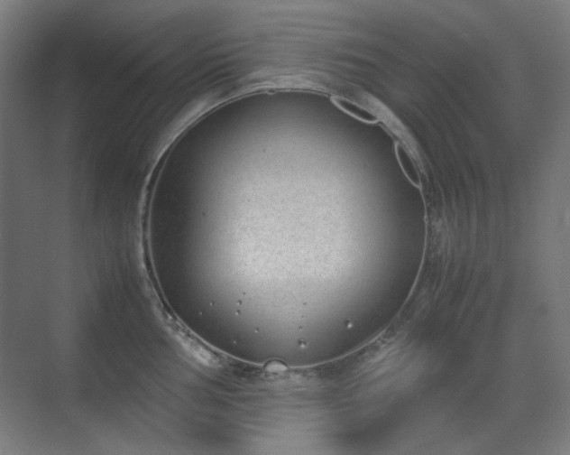 X0000070381002200606091120