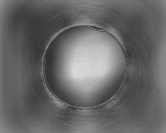 X0000070381004200606091120